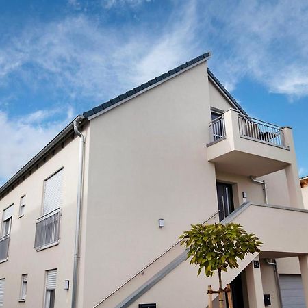 Dachstudio Am Donau Rad Weg تيغيرنهايم المظهر الخارجي الصورة